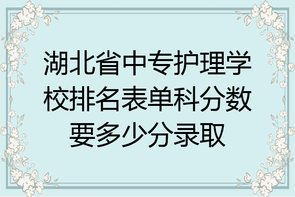 湖北省中专护理学校排名表单科分数要多少分录取