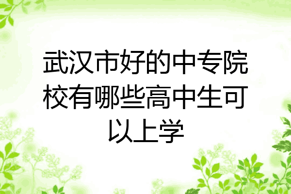 武汉市好的中专院校有哪些高中生可以上学