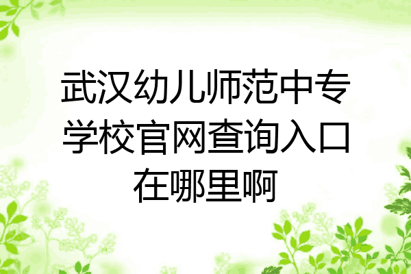 武汉幼儿师范中专学校官网查询入口在哪里啊