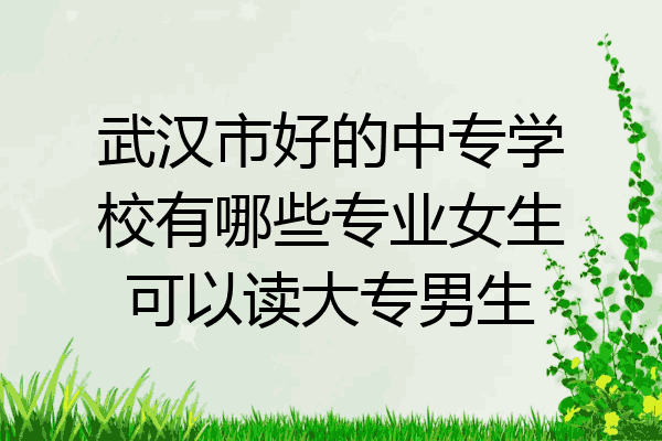 武汉市好的中专学校有哪些专业女生可以读大专男生