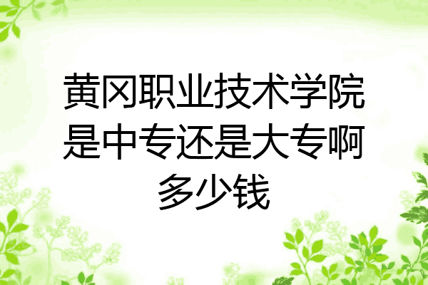 黄冈职业技术学院是中专还是大专啊多少钱