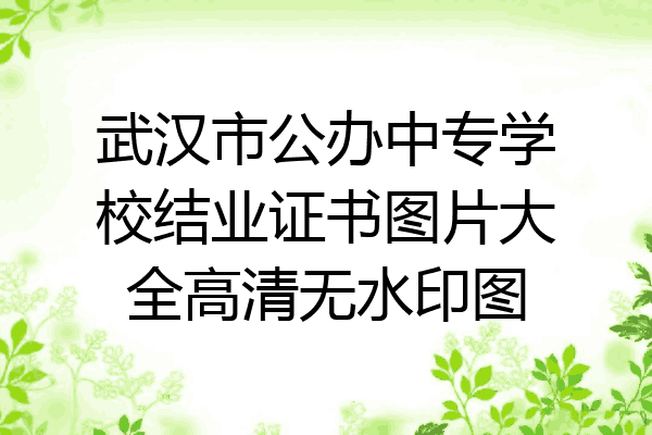武汉市公办中专学校结业证书图片大全高清无水印图