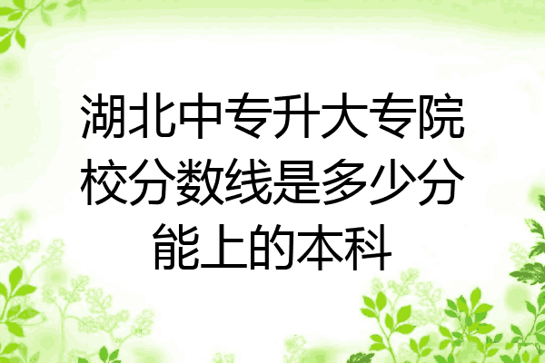 湖北中专升大专院校分数线是多少分能上的本科