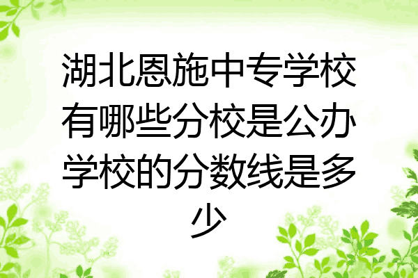 湖北恩施中专学校有哪些分校是公办学校的分数线是多少