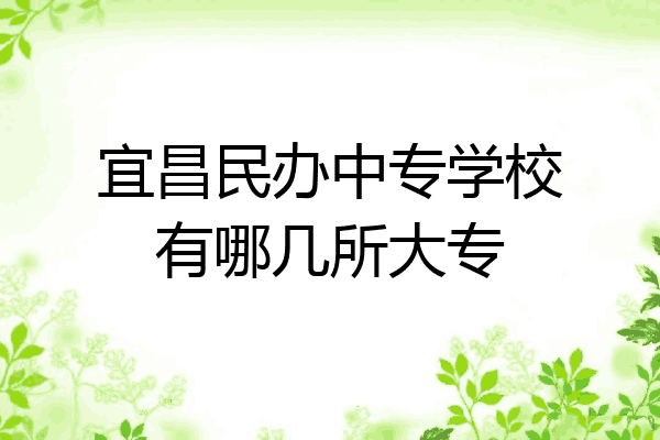 宜昌民办中专学校有哪几所大专