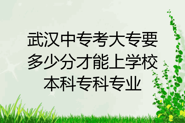 武汉中专考大专要多少分才能上学校本科专科专业
