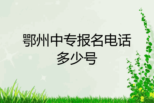 鄂州中专报名电话多少号