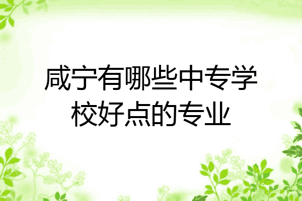 咸宁有哪些中专学校好点的专业