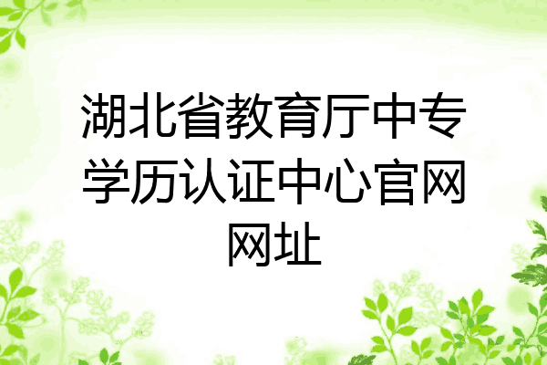 湖北省教育厅中专学历认证中心官网网址