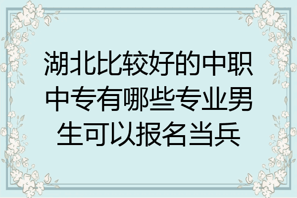 湖北比较好的中职中专有哪些专业男生可以报名当兵