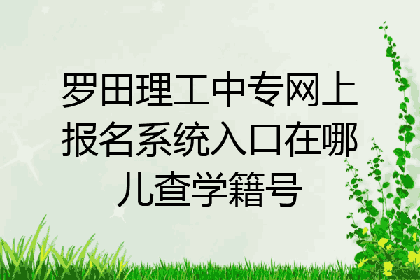 罗田理工中专网上报名系统入口在哪儿查学籍号
