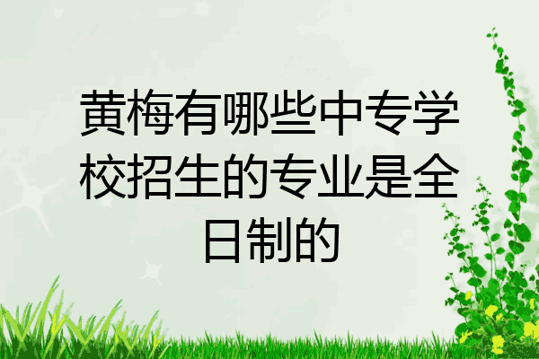 黄梅有哪些中专学校招生的专业是全日制的