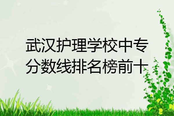 武汉护理学校中专分数线排名榜前十