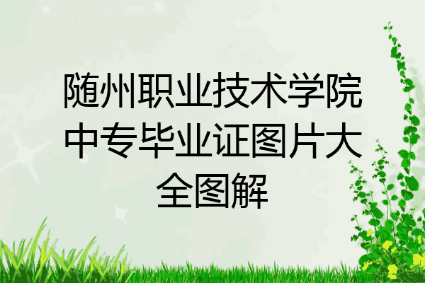 随州职业技术学院中专毕业证图片大全图解