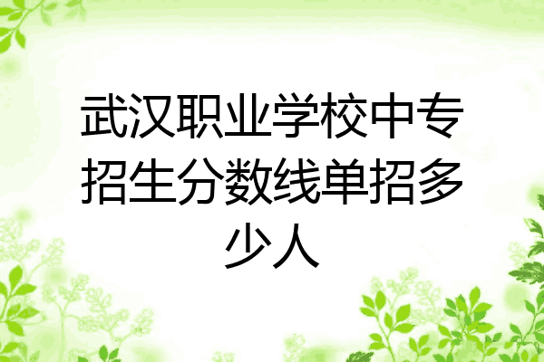 武汉职业学校中专招生分数线单招多少人