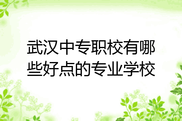 武汉中专职校有哪些好点的专业学校