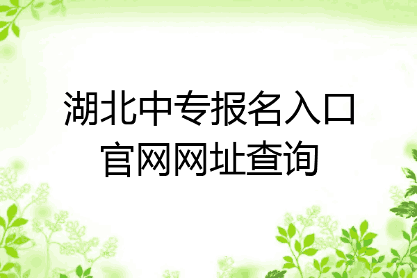 湖北中专报名入口官网网址查询