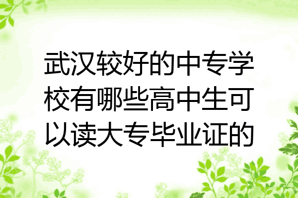 武汉较好的中专学校有哪些高中生可以读大专毕业证的