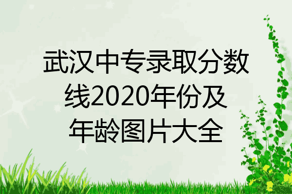 武汉中专录取分数线2020年份及年龄图片大全