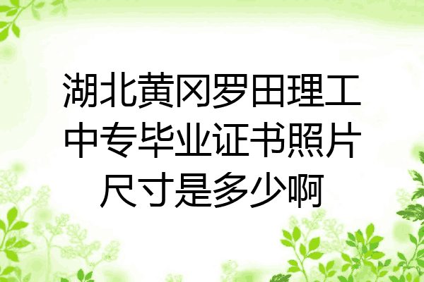 湖北黄冈罗田理工中专毕业证书照片尺寸是多少啊