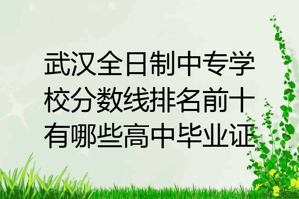 武汉全日制中专学校分数线排名前十有哪些高中毕业证