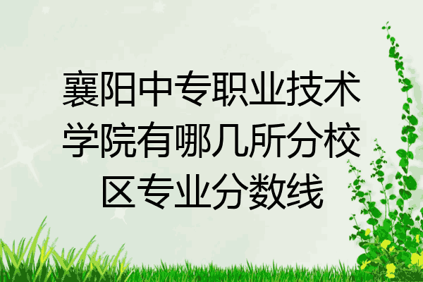 襄阳中专职业技术学院有哪几所分校区专业分数线