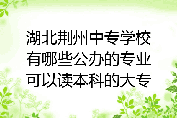 湖北荆州中专学校有哪些公办的专业可以读本科的大专