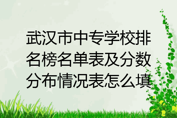 武汉市中专学校排名榜名单表及分数分布情况表怎么填