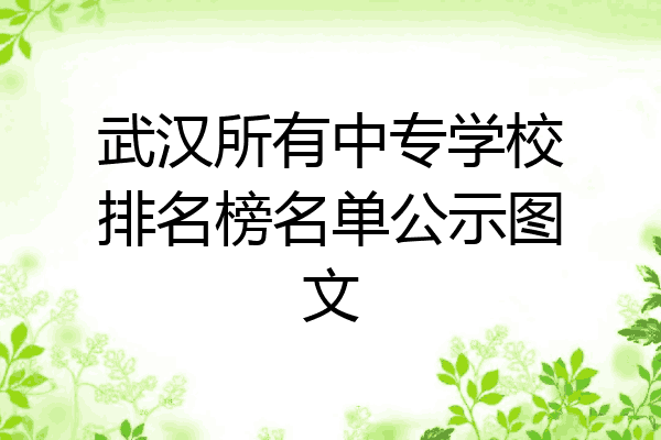 武汉所有中专学校排名榜名单公示图文