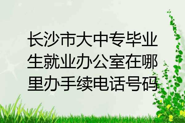 长沙市大中专毕业生就业办公室在哪里办手续电话号码