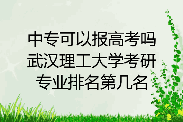 中专可以报高考吗武汉理工大学考研专业排名第几名