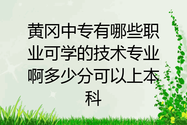 黄冈中专有哪些职业可学的技术专业啊多少分可以上本科