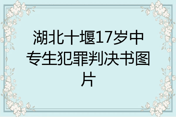 湖北十堰17岁中专生犯罪判决书图片