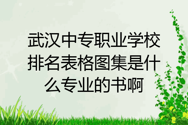 武汉中专职业学校排名表格图集是什么专业的书啊