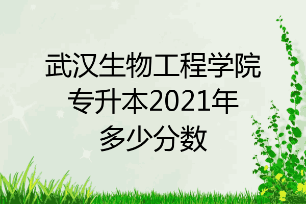 武汉生物工程学院专升本2021年多少分数