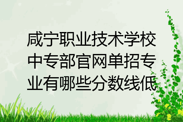 咸宁职业技术学校中专部官网单招专业有哪些分数线低