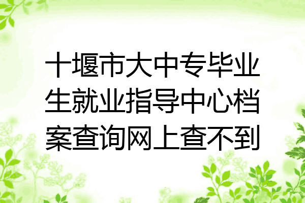 十堰市大中专毕业生就业指导中心档案查询网上查不到