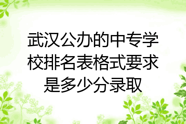 武汉公办的中专学校排名表格式要求是多少分录取