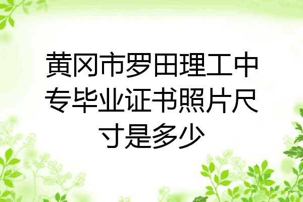 黄冈市罗田理工中专毕业证书照片尺寸是多少