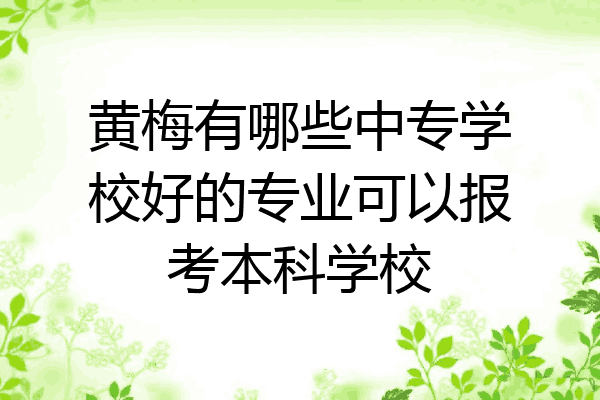 黄梅有哪些中专学校好的专业可以报考本科学校