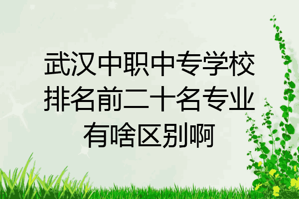 武汉中职中专学校排名前二十名专业有啥区别啊