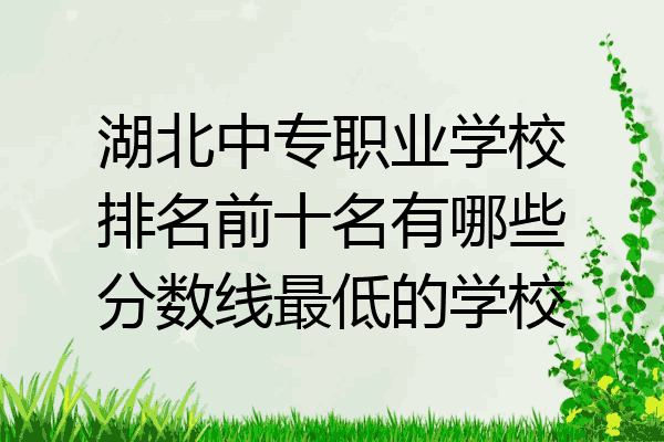 湖北中专职业学校排名前十名有哪些分数线最低的学校