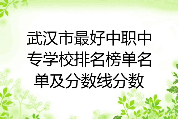 武汉市最好中职中专学校排名榜单名单及分数线分数