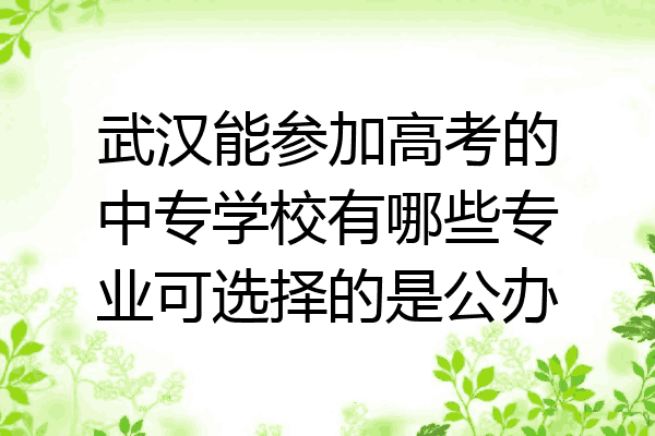 武汉能参加高考的中专学校有哪些专业可选择的是公办