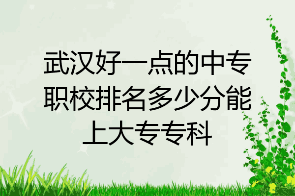 武汉好一点的中专职校排名多少分能上大专专科