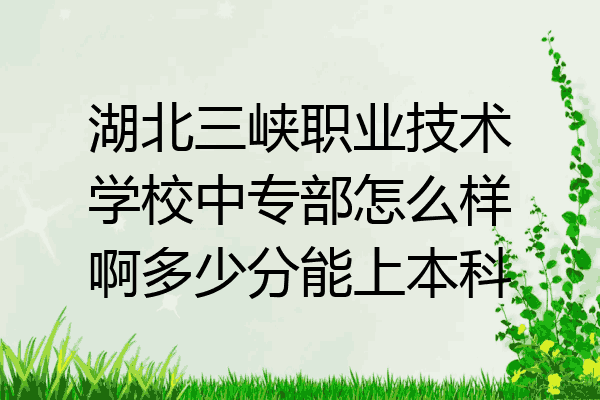 湖北三峡职业技术学校中专部怎么样啊多少分能上本科