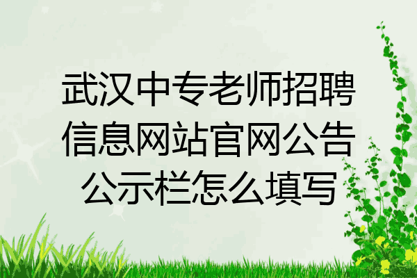 武汉中专老师招聘信息网站官网公告公示栏怎么填写