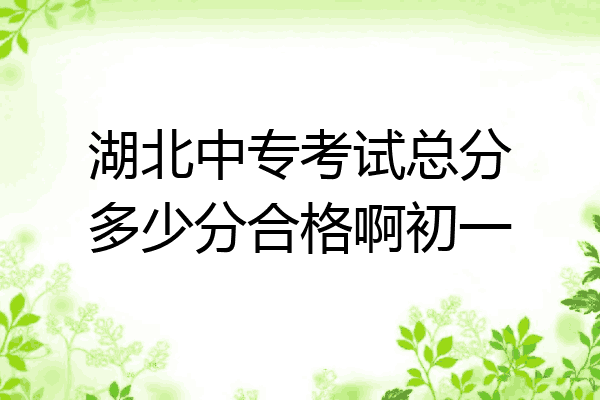湖北中专考试总分多少分合格啊初一