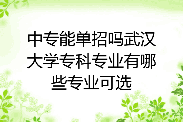 中专能单招吗武汉大学专科专业有哪些专业可选