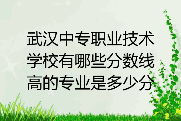 武汉中专职业技术学校有哪些分数线高的专业是多少分